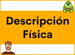 Vocabulario Detallado para Describir Personas en Español: Mejora tu Conversación con Ejemplos