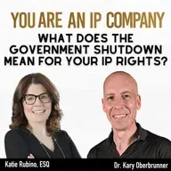 S4 Ep41: What does the government shutdown mean for your IP rights?