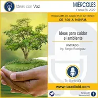 Ideas para cuidar el ambiente