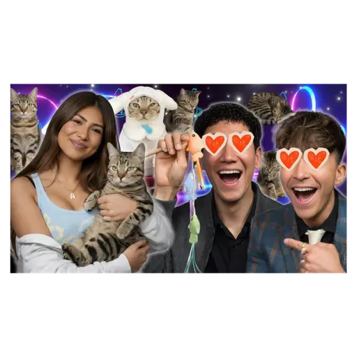 The COOLEST cat in the WORLD!