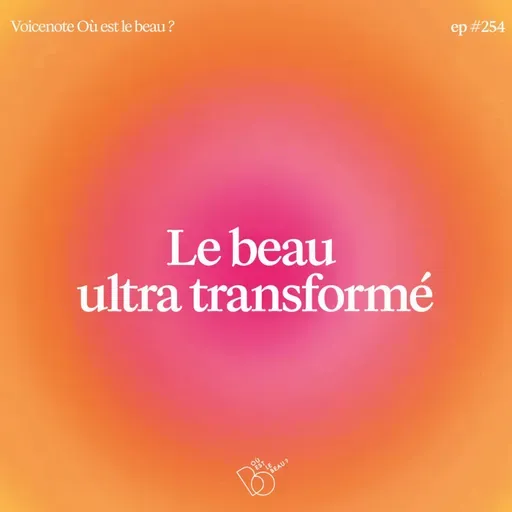 #254 - Le beau ultra transformé [Voice Note générale]