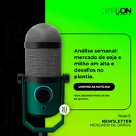 T4 EP 43 - Análise semanal: mercado de soja e milho em alta e desafios no plantio