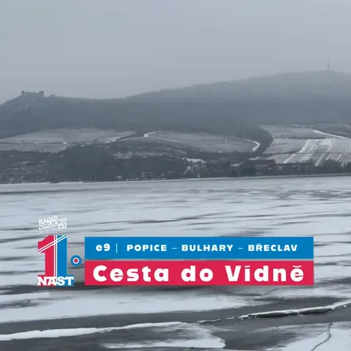 #9 Cesta do Vídně | Popice – Bulhary – Břeclav |