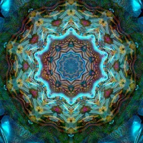 Psytrance Radio - SSF