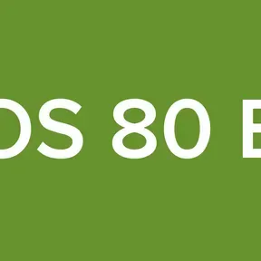 LOS 80 ES