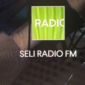 SELI RADIO FM