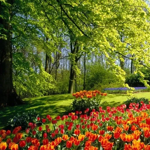 Музыка весны.