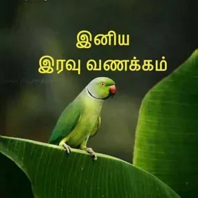 Karaikal voice