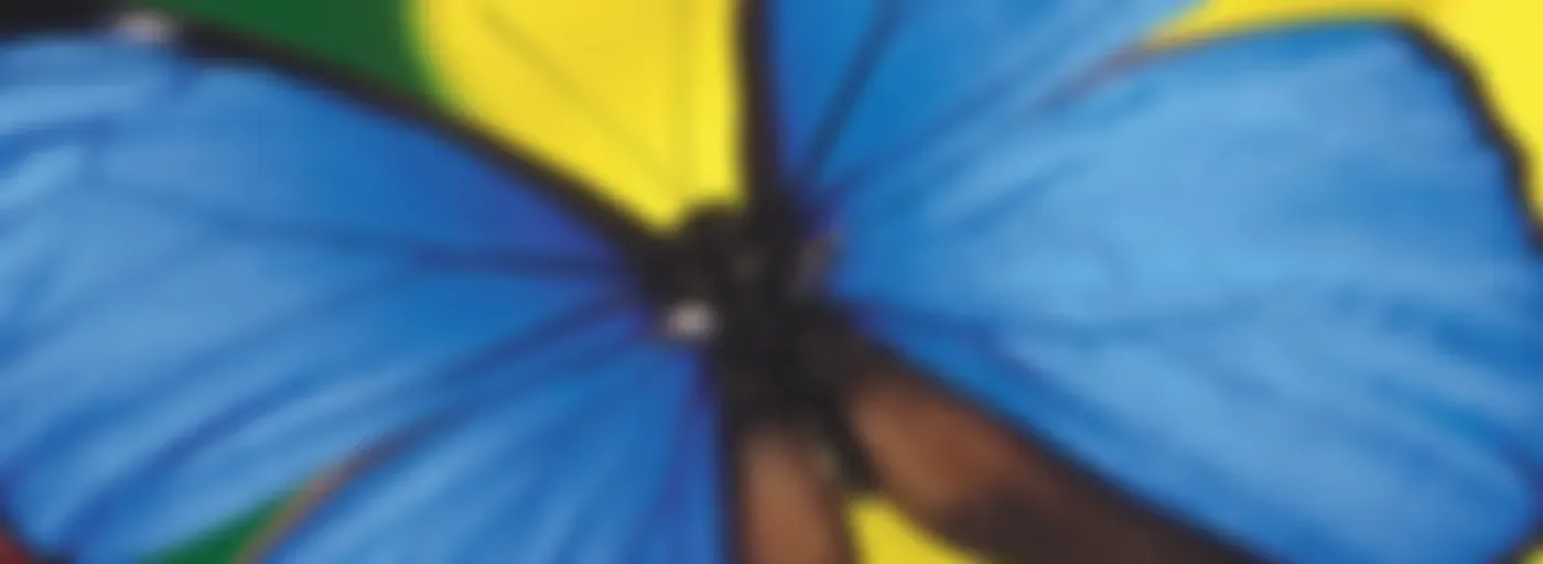 Onda Mistica