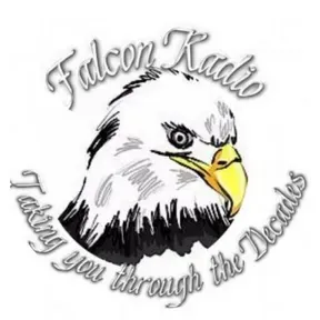 Falcon Radio