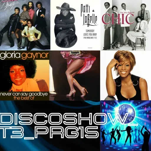 DiscoShow_T3_Prg15