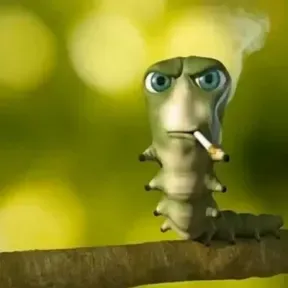 sóbraba