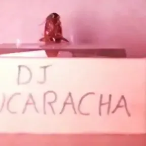 cucarachoFM