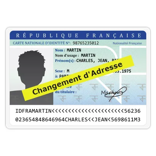 A French service for streamlining bureaucratic processes - really!