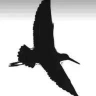 Sandpiper - Mix