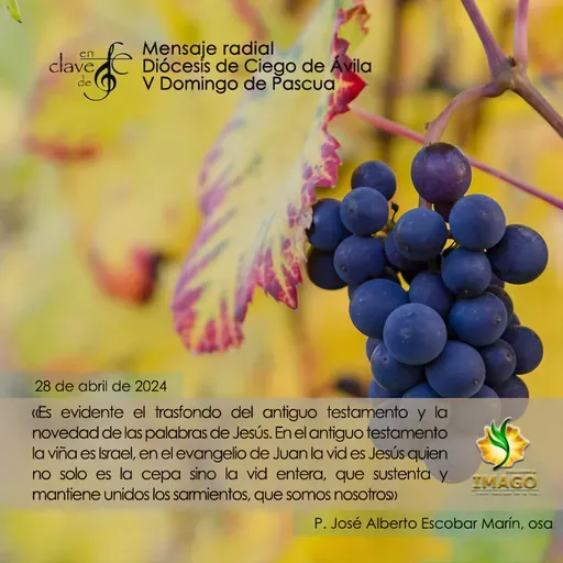 5.17 En Clave de Fe. 28 de abril 2024. V Domingo de Pascua.