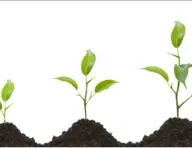 Как возрастать в молитве?