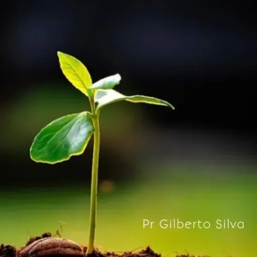 58. Perseverança