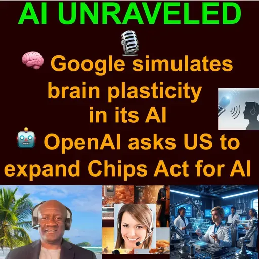 AI Weekly Business & News Rundown: 🧠 Google simulates brain plasticity in its AI  🤖 OpenAI asks US to expand Chips Act for AI  & more