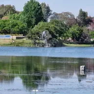 Investigan la mortandad de peces registrada en la laguna del Parque del Sur