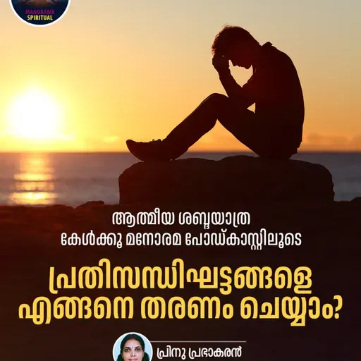 പ്രതിസന്ധിഘട്ടങ്ങളെ എങ്ങനെ തരണം ചെയ്യാം?
