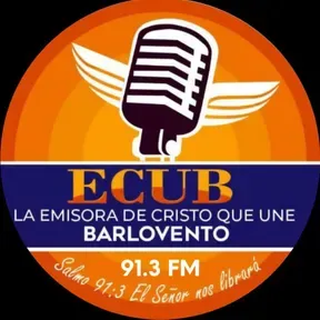 ECUB 91.3 FM