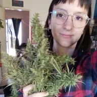 Dana en Vamos Por Todo