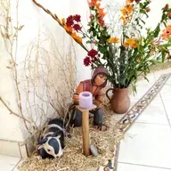 Evangelio del 31 de diciembre