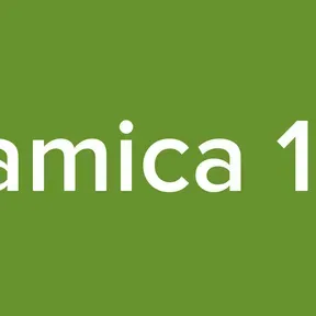 Dinamica 101.3