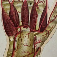 EPSA is Burning S27 E04 - Episodio exclusivo para mecenas