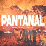 RM #92: Pantanal em Chamas