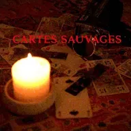 Cartes Sauvages #5 - Guerre & Hollywood