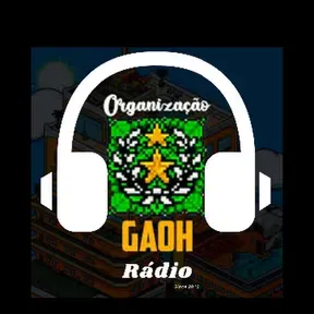 GAOHOrg