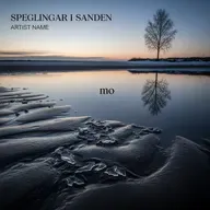 Speglingar i Sanden