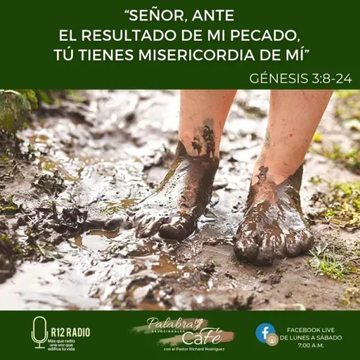 016. Señor, ante el resultado de mi pecado, tienes tú misericordia de mí.