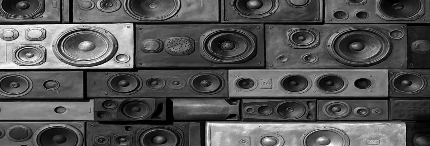 Anti Sound System Ruim FM