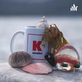 Денис Коновалов