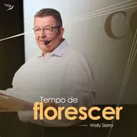 Tempo de florescer - Welly Sierra