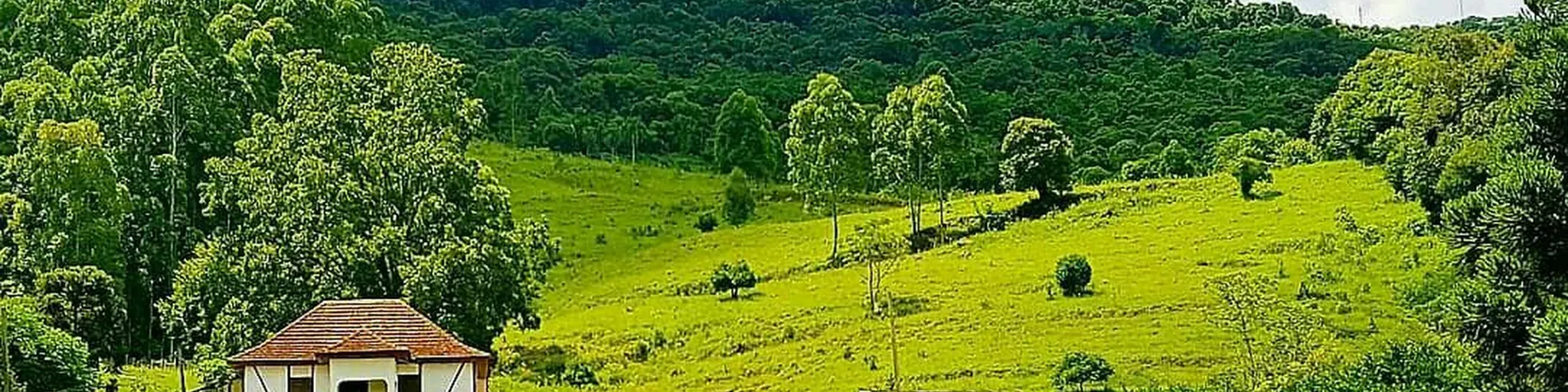 sertao do Canta Galo