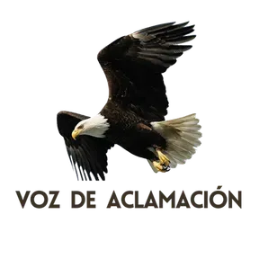 VOZ DE ACLAMACION