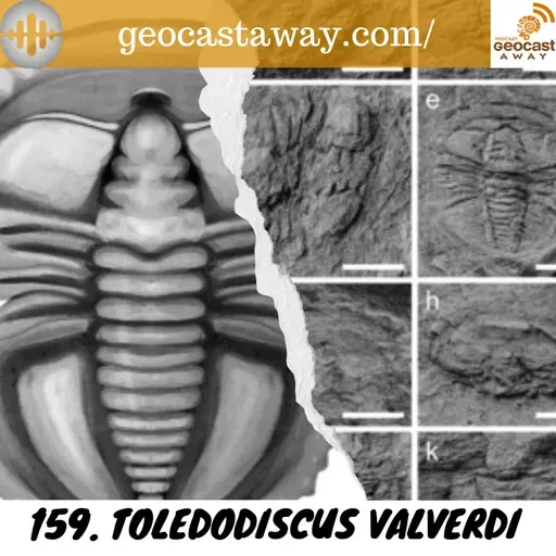 159. Toledodiscus valverdi