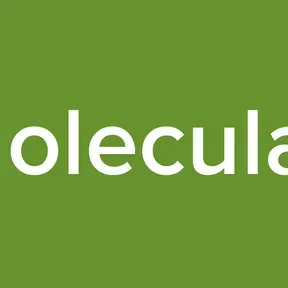 Moleculas