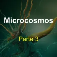 Microcosmos (parte 3) 
