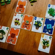 Arquitectos De Stonespine