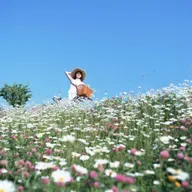 简媜：三月，适合缓步