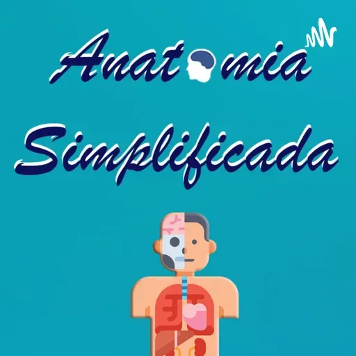 Cuidados de Enfermagem - Via Parenteral.