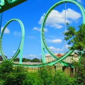 Shock Wave