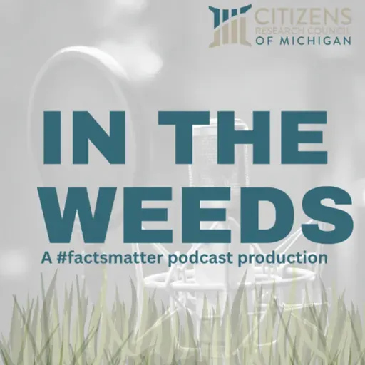 Michigan's a home rule state...but it doesn't allow local tax options. What?