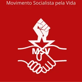 MSVBrasil