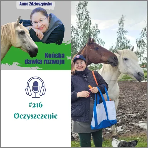 #216 Oczyszczenie